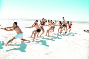 Snorkeling and Diving Tour at Ras Mohammed and White Island