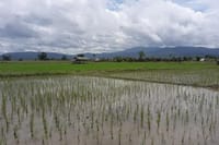 "Chiang Mai to Lake Adventure by Bike!" 7