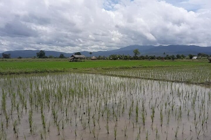 "Chiang Mai to Lake Adventure by Bike!" 7