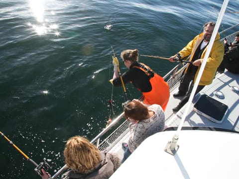 Reykjavík Sea Angling Gourmet