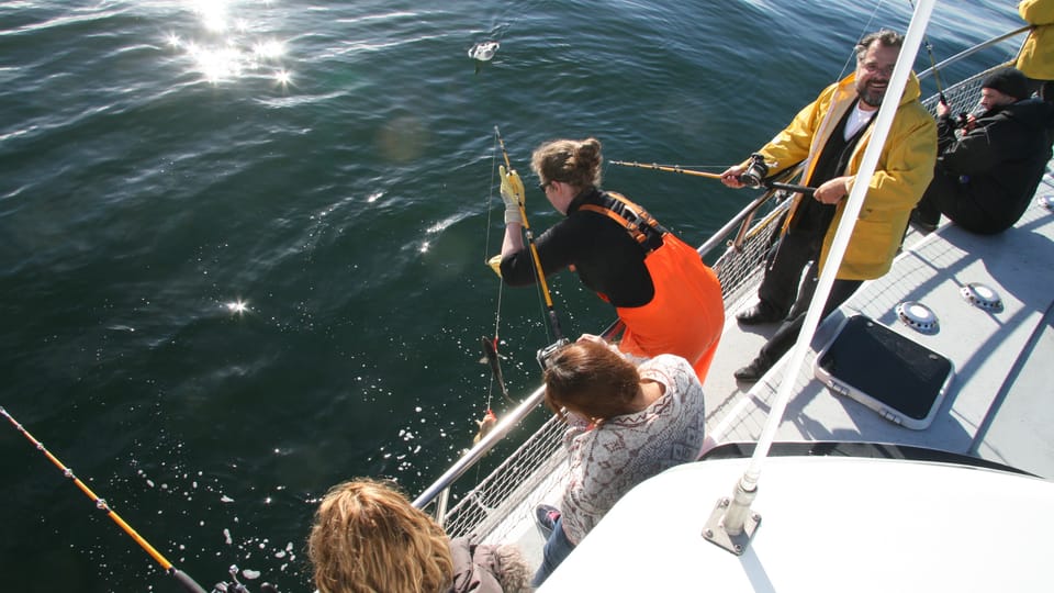 Sea angling with a barbecue from Reykjavík — the tour people don't know they want