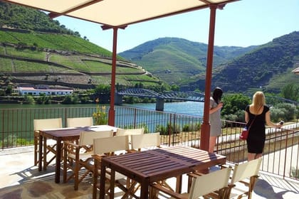 From Porto: Douro Valley Historical Tour with Lunch Winery w/ Tastings and Cruise