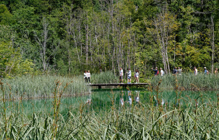 Private Day Trip to Plitvice Lakes National Park from Split