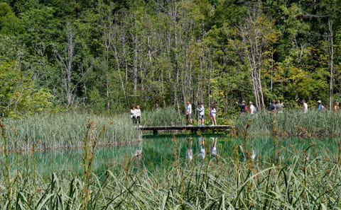 Private Day Trip to Plitvice Lakes National Park from Split
