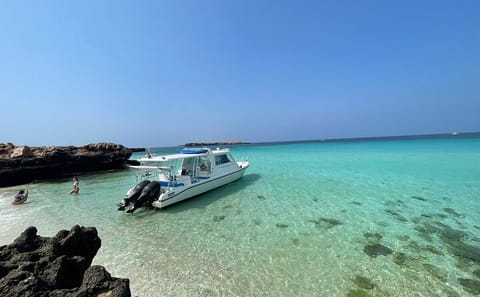 Snorkeling Tour to Daymaniat Island from Muscat
