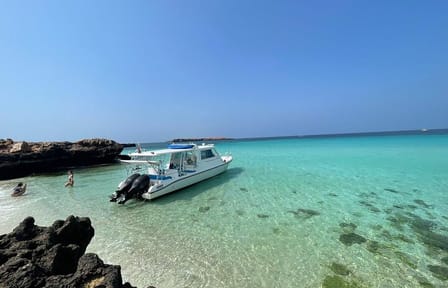 Snorkeling Tour to Daymaniat Island from Muscat