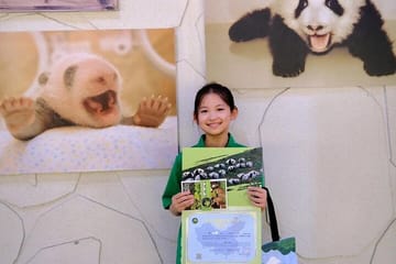 Panda Volunteer Experience at Dujiangyan from Chengdu