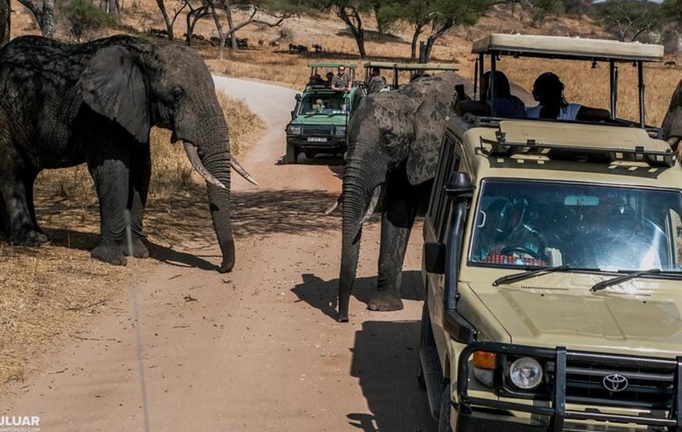 3-Day Budget Safari in Amboseli National Park, Kenya