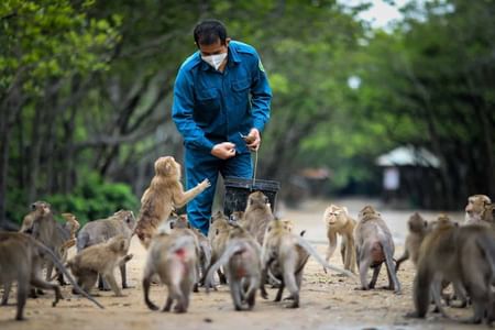Private Eco-Adventure to Can Gio Mangrove Forest and Local Life Full Day