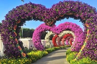 Dubai Miracle Garden with private round trip transfers 4