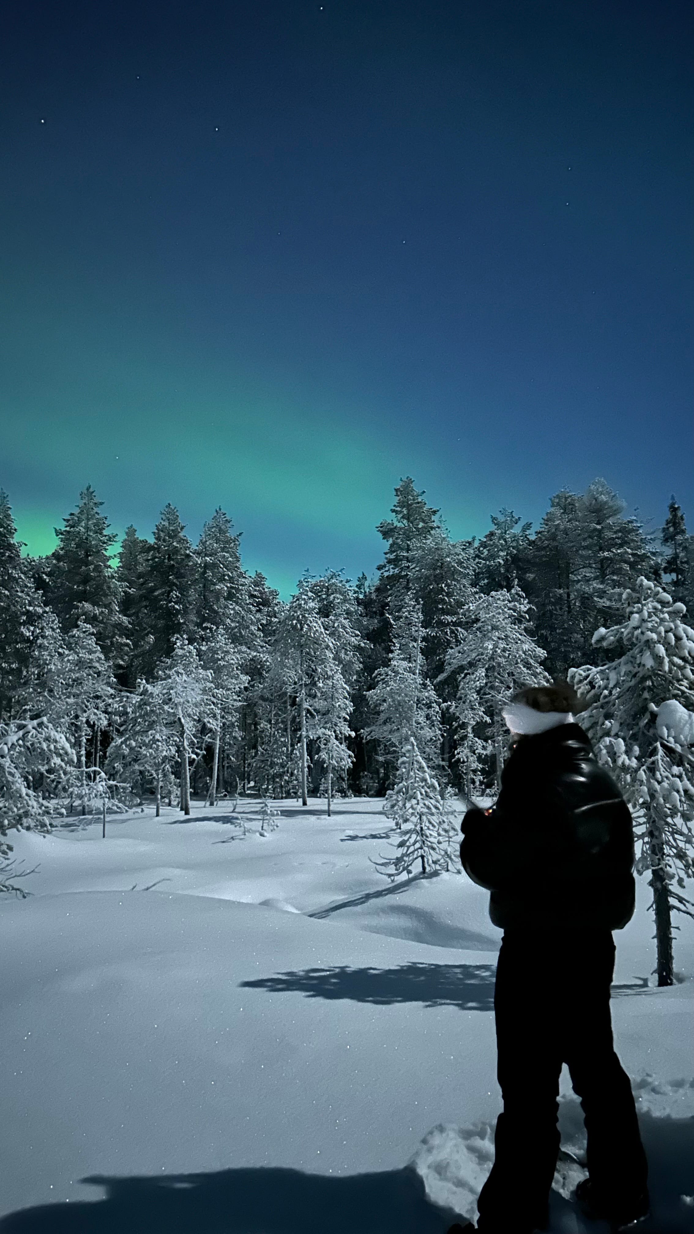 Rovaniemi aurora snowshoe — Snowshoer exploring Lapland winter terrain with aurora.