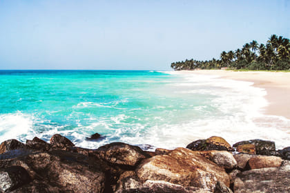 Classic & Adventure Experience from Galle ( without Accmmodation)