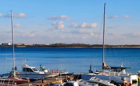 Qingdao West Coast Art and Coastal Highlights Day Tour
