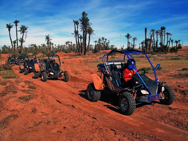 ½ Day : Buggy Adventure in Desert & Palms | Private & Luxury 3
