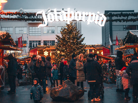 The Icelandic Christmas Advent Driving Tour, photo 5