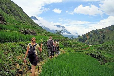 Sapa Trekking Adventure: Explore Ethnic Villages & Rice Terraces with Homestay