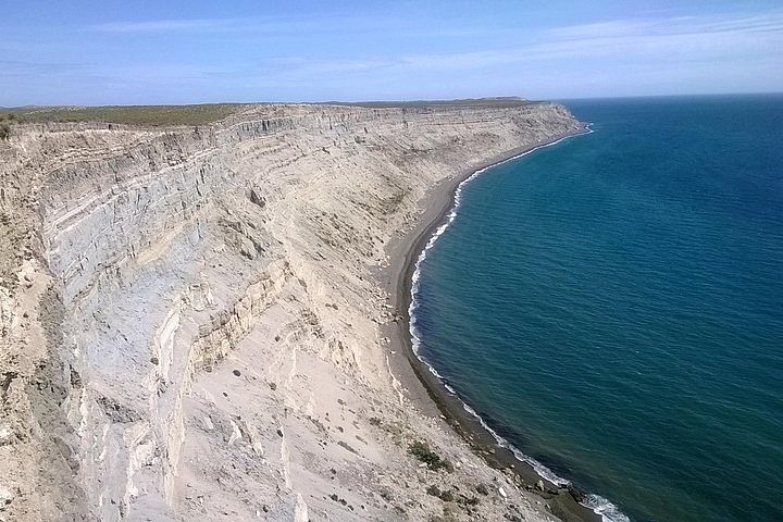 Discover Southern Elephant Seals at Punta Ninfas from Puerto Madryn