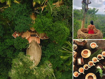 Ubud – Jungle Swing – Monkey Forest – Waterfall – Water Temple – FREE Wi-Fi
