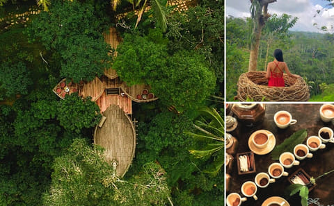 Ubud – Jungle Swing – Monkey Forest – Waterfall – Water Temple – FREE Wi-Fi