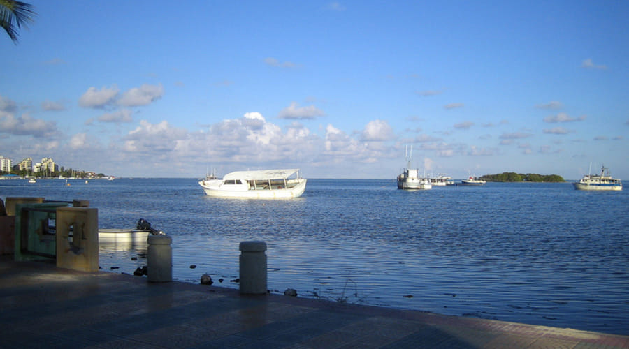 Bay Day Tour - Triton Boat