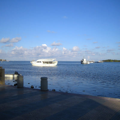 Bay Day Tour - Triton Boat