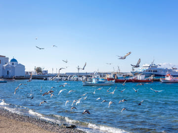 Mykonos-Island tour (small group)
