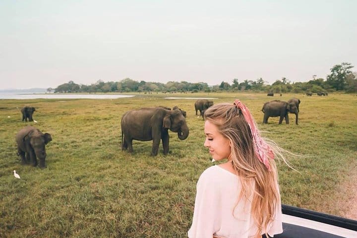 Glamourous Sri Lanka 7 Days Tour