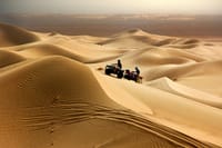 Desert Safari with Camel Riding and BBQ Dinner 10