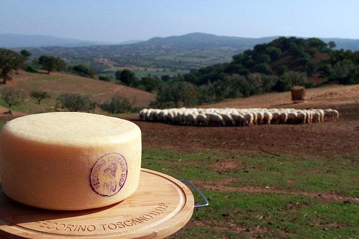 Pecorino Cheese & Chianti Wine Tour: Taste Tuscany’s Finest Delights