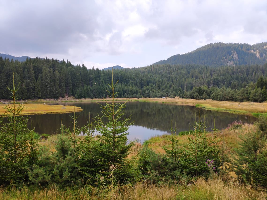 Privately Guided Tour around the Smolyan Lakes 5