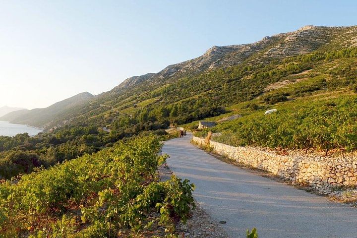 Private Wine Lover's Tour of Peljesac Peninsula