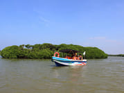Negombo Day Tour 6