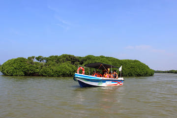 Negombo City Tour with Market Visits and Lagoon Exploration