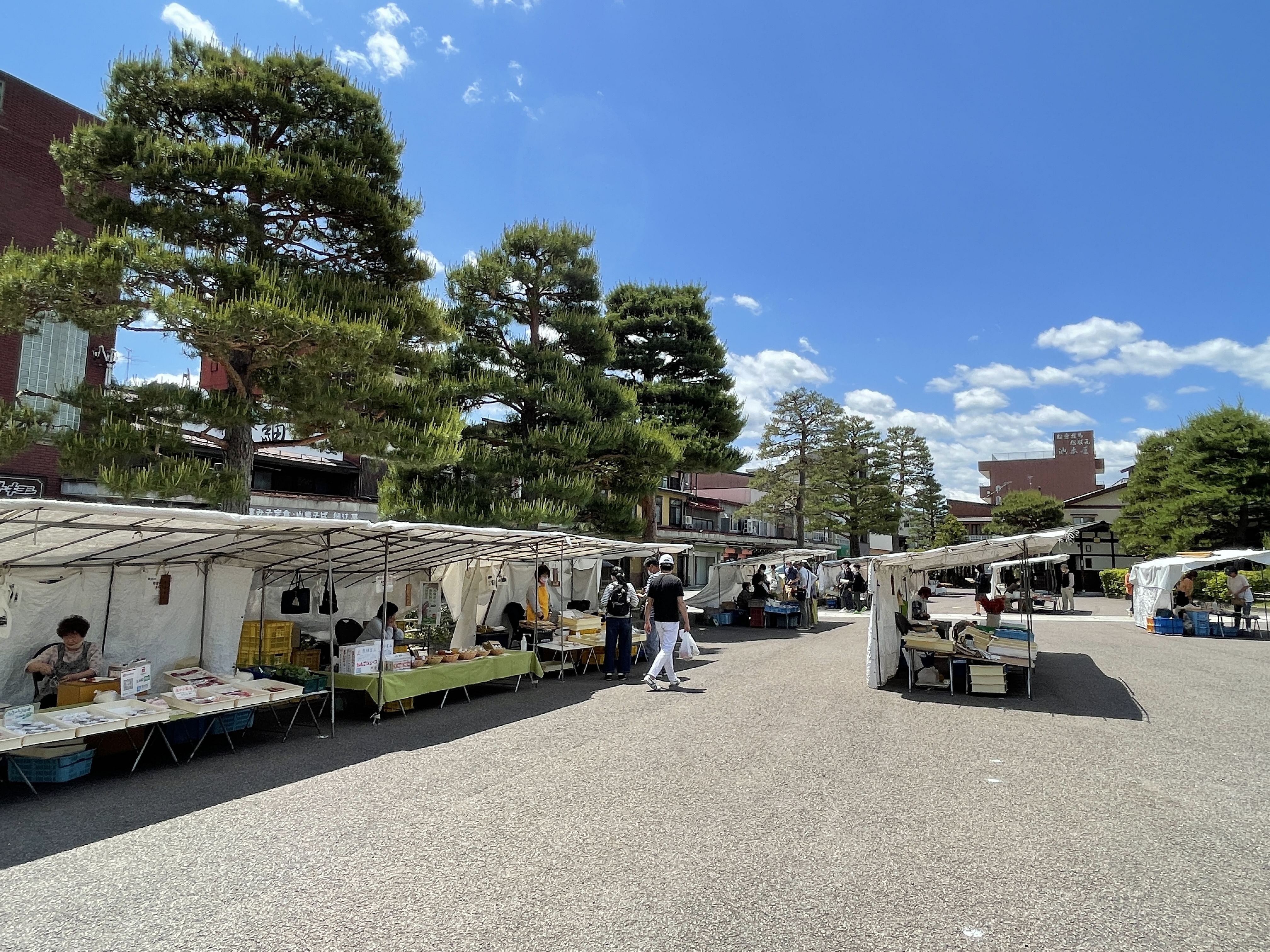 Takayama oldtownship walking tour with local guide. (About 70min)