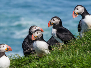 Iceland South Coast Day Tour From Reykjavik, photo 7