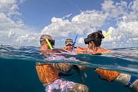 Cozumel Cruise Excursion: Private Speedboat for 8-12 8