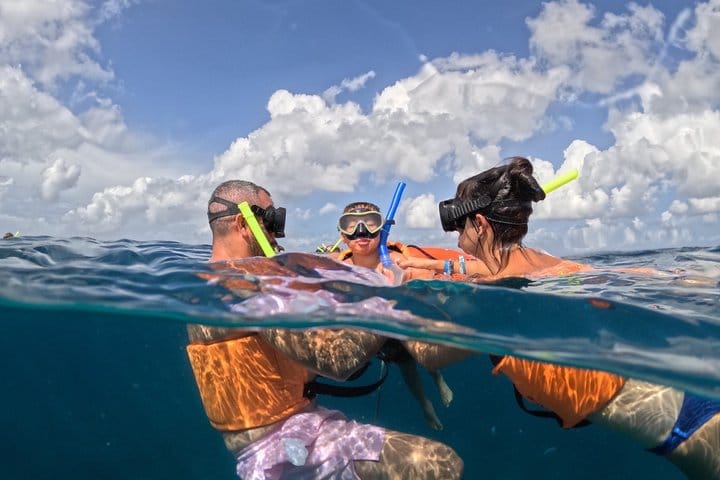 Cozumel Cruise Excursion: Private Speedboat for 8-12 8