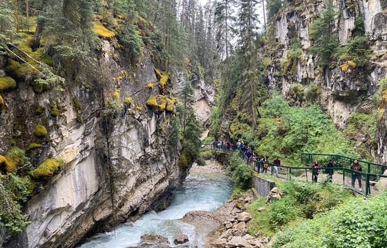 Johnston Canyon, Marble Canyon Icewalk and Banff Town day tour