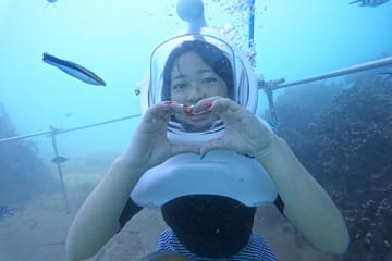 Snorkeling and Sea Trekking Adventure at Cham Island, Da Nang
