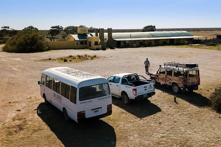 Estancia San Lorenzo: Home to the Largest Penguin Colony