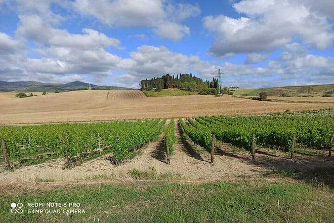 Chianti Wine Tour with Lunch from Pisa and Livorno - Photo 2