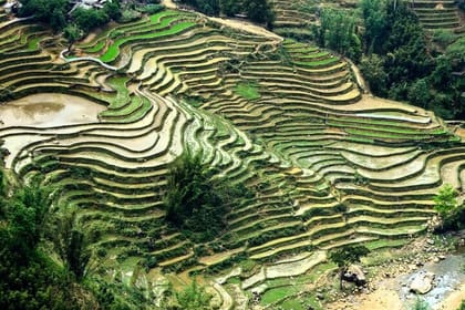 Sapa Trekking 3days – 2night by Bus with 1night homestay & 1night hotel