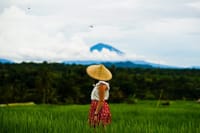 Private Tour: Bali Temple and Countryside Tour 4