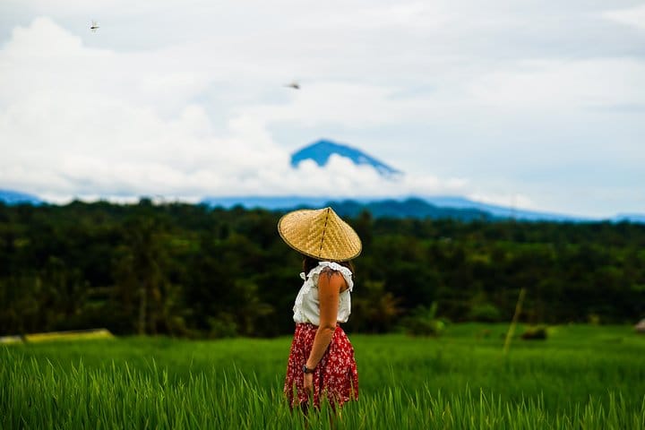 Private Tour: Bali Temple and Countryside Tour 4