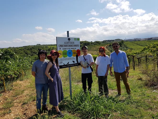 Visit the Vigna Madre Winery and Taste its Wines - Photo 4