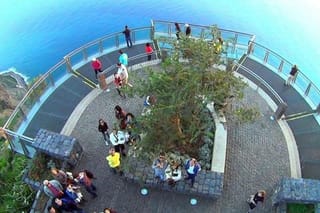 Amazing Skywalk, Madeira Wine Tasting and more... Half day in Open Roof 4x4