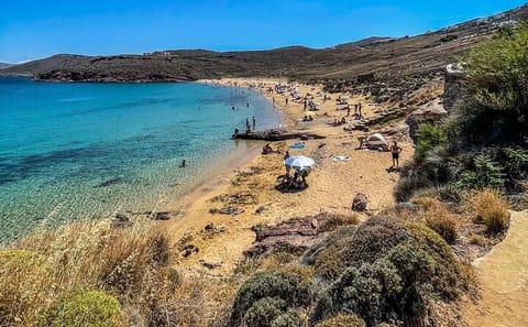 Private Tour of Mykonos' Highlights: Agios Sostis & More