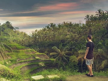 Ubud Rice paddies