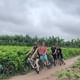 AMAZING BIKING TOUR AROUND HANOI CITY AND COUNTRYSIDE WITH LOCAL GUIDE|
