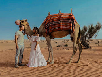 Camel Ride Adventure in the Desert of Ica, Peru